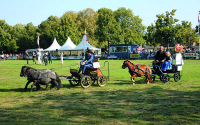 Honderden bezoekers bij Regionaal Tuigpaardenconcours